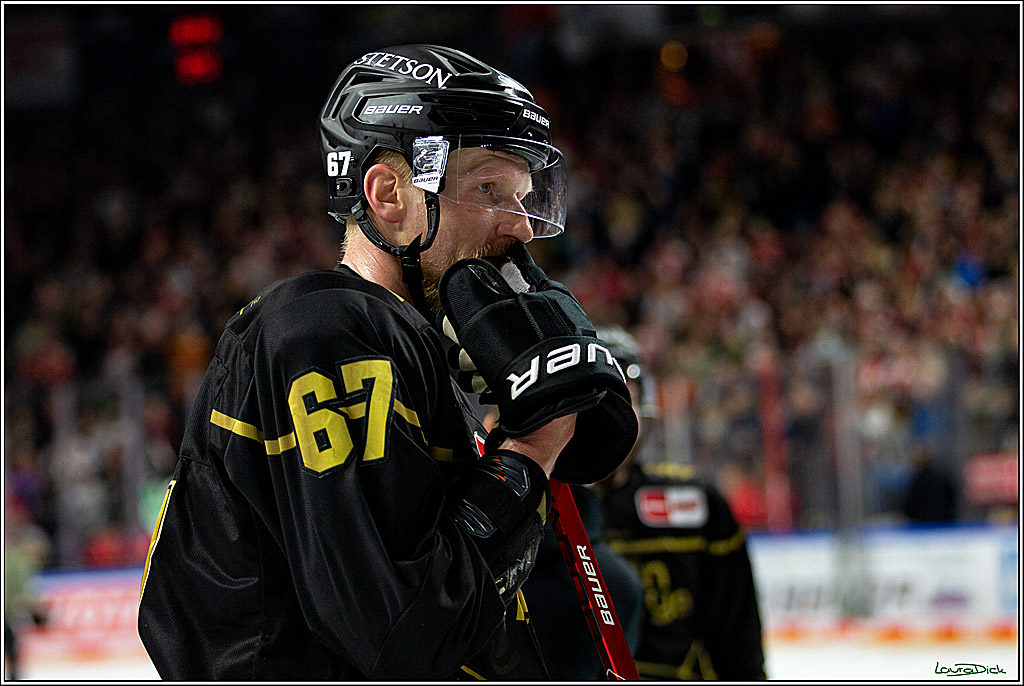 PENNY DEL; Koelner Haie-Bietigheim Steelers; Koeln, 05.03.2023